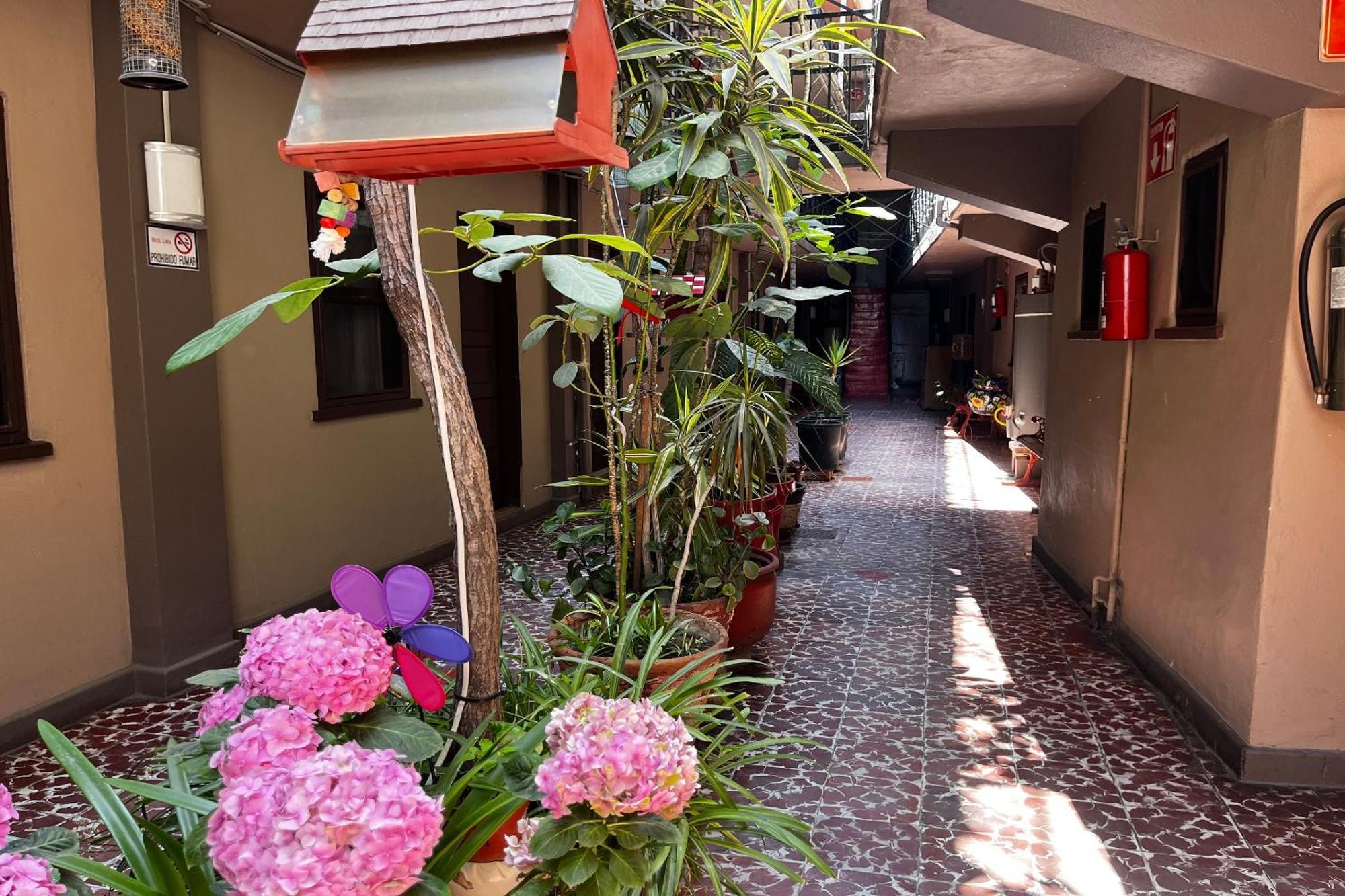 Oyo Hotel Linda Tijuana Exterior photo